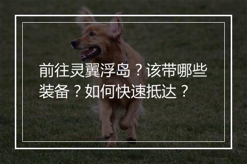 前往灵翼浮岛?该带哪些装备?如何快速抵达?