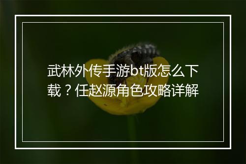 武林外传手游bt版怎么下载?任赵源角色攻略详解
