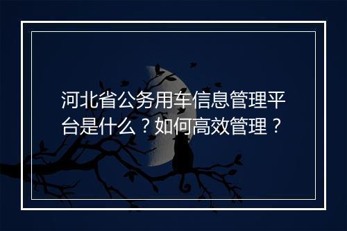 河北省公务用车信息管理平台是什么?如何高效管理?