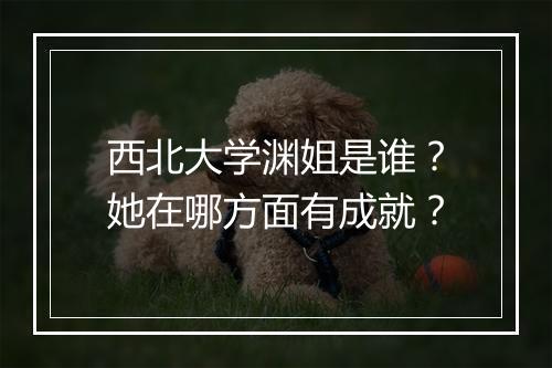 西北大学渊姐是谁？她在哪方面有成就？