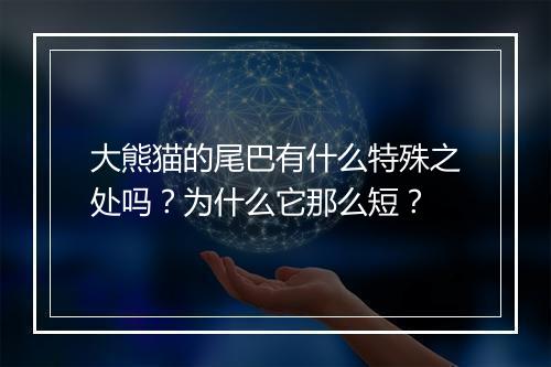 大熊猫的尾巴有什么特殊之处吗?为什么它那么短?