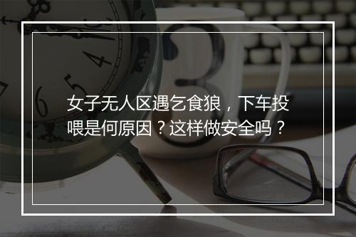 女子无人区遇乞食狼,下车投喂是何原因?这样做安全吗?
