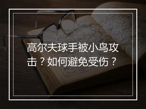 高尔夫球手被小鸟攻击？如何避免受伤？