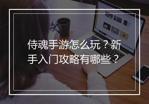 侍魂手游怎么玩？新手入门攻略有哪些？