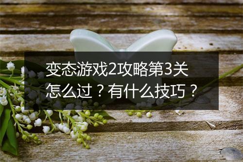 变态游戏2攻略第3关怎么过?有什么技巧?