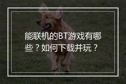 能联机的BT游戏有哪些?如何下载并玩?