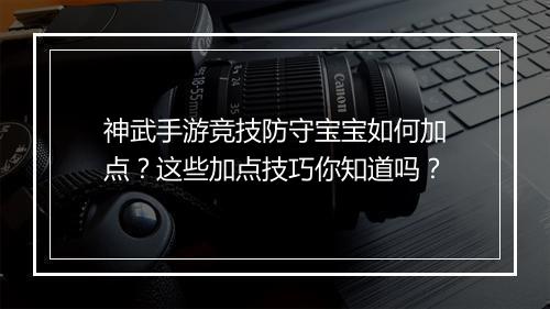神武手游竞技防守宝宝如何加点？这些加点技巧你知道吗？
