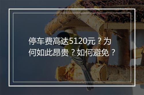 停车费高达5120元?为何如此昂贵?如何避免?