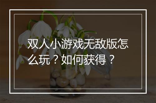 双人小游戏无敌版怎么玩?如何获得?