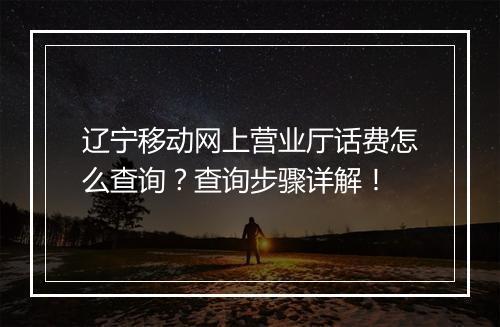 辽宁移动网上营业厅话费怎么查询？查询步骤详解！