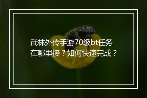 武林外传手游70级bt任务在哪里接?如何快速完成?