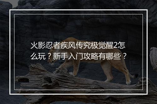 火影忍者疾风传究极觉醒2怎么玩?新手入门攻略有哪些?