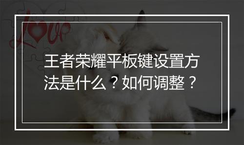 王者荣耀平板键设置方法是什么？如何调整？
