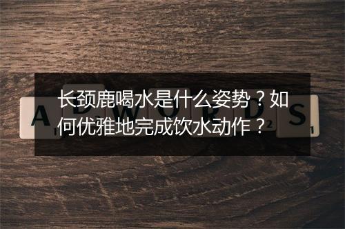 长颈鹿喝水是什么姿势？如何优雅地完成饮水动作？