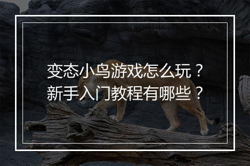 变态小鸟游戏怎么玩？新手入门教程有哪些？