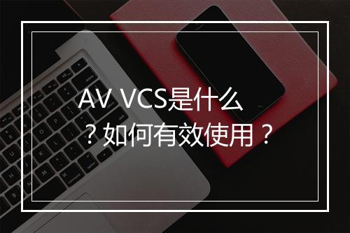 AV VCS是什么？如何有效使用？