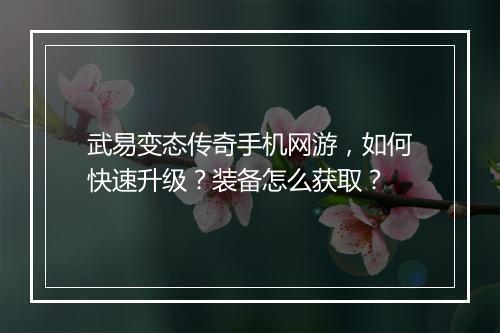 武易变态传奇手机网游,如何快速升级?装备怎么获取?