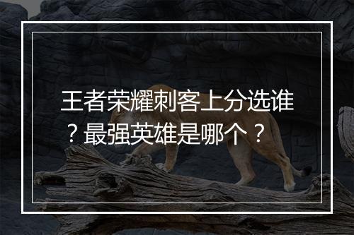 王者荣耀刺客上分选谁？最强英雄是哪个？