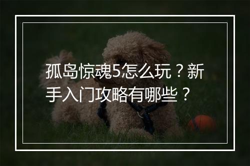 孤岛惊魂5怎么玩?新手入门攻略有哪些?