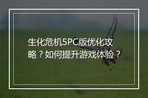 生化危机5PC版优化攻略?如何提升游戏体验?