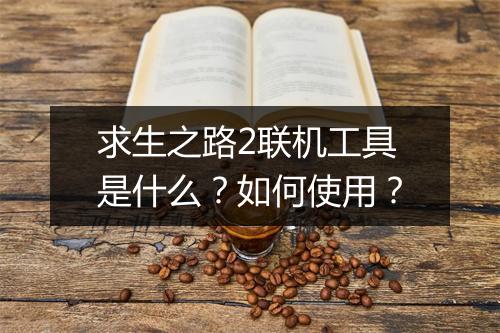 求生之路2联机工具是什么?如何使用?