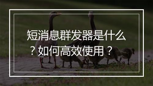 短消息群发器是什么？如何高效使用？