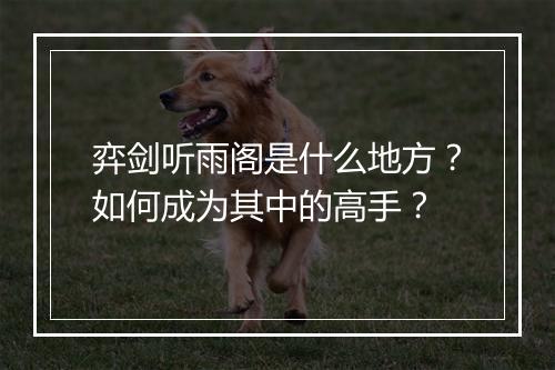弈剑听雨阁是什么地方？如何成为其中的高手？