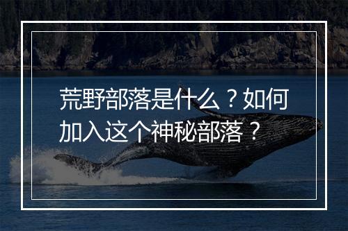 荒野部落是什么?如何加入这个神秘部落?