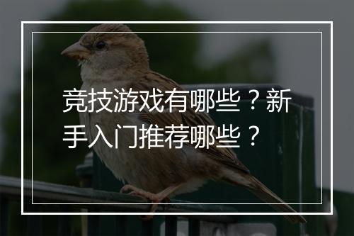 竞技游戏有哪些?新手入门推荐哪些?