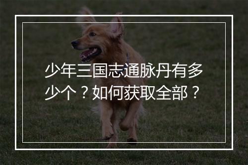 少年三国志通脉丹有多少个？如何获取全部？