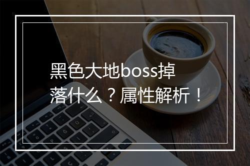 黑色大地boss掉落什么？属性解析！