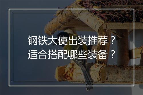 钢铁大使出装推荐？适合搭配哪些装备？