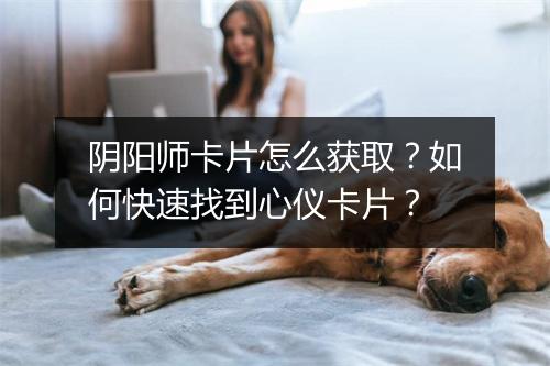 阴阳师卡片怎么获取？如何快速找到心仪卡片？