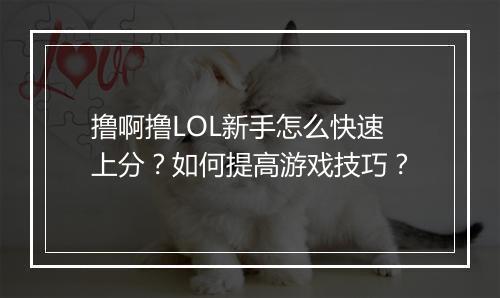 撸啊撸LOL新手怎么快速上分?如何提高游戏技巧?