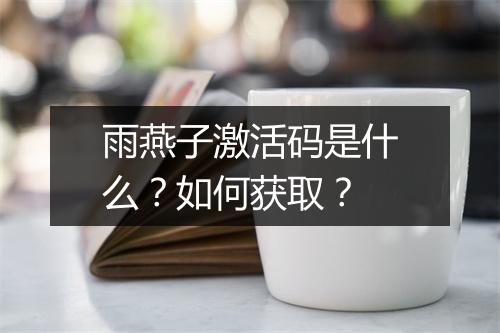 雨燕子激活码是什么？如何获取？