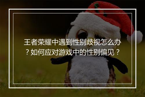 王者荣耀中遇到性别歧视怎么办？如何应对游戏中的性别偏见？