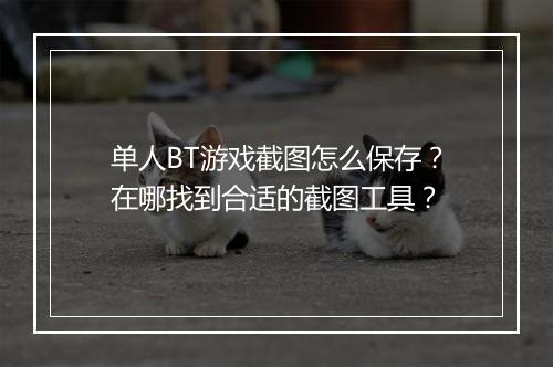 单人BT游戏截图怎么保存?在哪找到合适的截图工具?