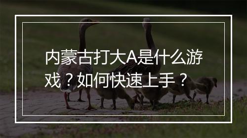 内蒙古打大A是什么游戏?如何快速上手?
