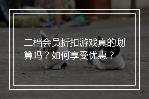 二档会员折扣游戏真的划算吗?如何享受优惠?