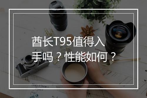 酋长T95值得入手吗?性能如何?