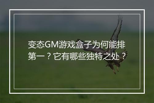 变态GM游戏盒子为何能排第一?它有哪些独特之处?