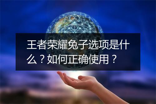 王者荣耀兔子选项是什么？如何正确使用？