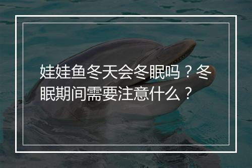 娃娃鱼冬天会冬眠吗?冬眠期间需要注意什么?