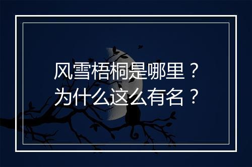 风雪梧桐是哪里？为什么这么有名？