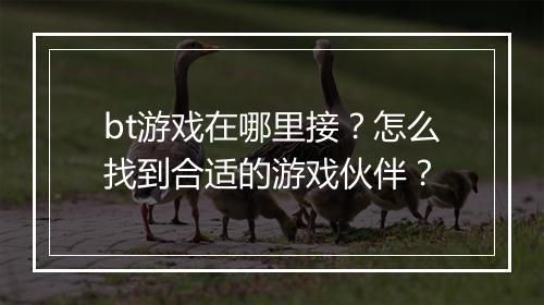 bt游戏在哪里接？怎么找到合适的游戏伙伴？