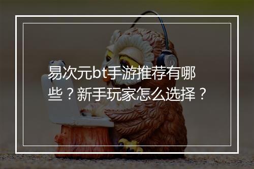 易次元bt手游推荐有哪些?新手玩家怎么选择?