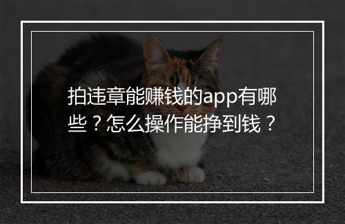 拍违章能赚钱的app有哪些?怎么操作能挣到钱?