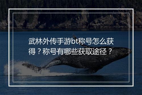 武林外传手游bt称号怎么获得？称号有哪些获取途径？