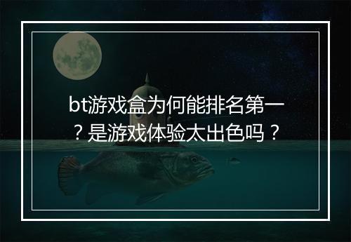 bt游戏盒为何能排名第一？是游戏体验太出色吗？
