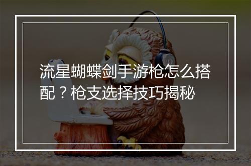 流星蝴蝶剑手游枪怎么搭配？枪支选择技巧揭秘